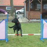 Foto van Marlies