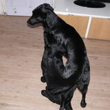 Foto van Eef en Tjibbe