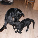 Foto van Eef en Tjibbe