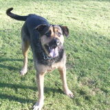 Foto van Claudia & Tank