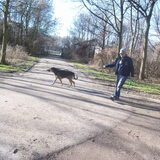 Foto van Claudia & Tank