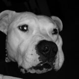Foto van Jill