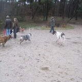 lekker wandelen in de regenachtige Drunense duinen