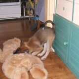 Kleine Mika met grote moederbeer