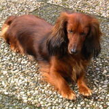 Floortje op het terras
