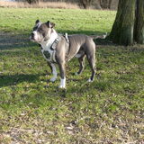 Foto van Helena & Tyrone