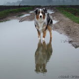 weerspiegeling in het water