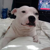 dieseltjee net wakker:P