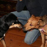 Mila ontmoet haar moeder in Nederland op 2 nov 08.(Mila is bij mij…