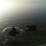King & Micky @ surfplas