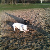 Rollen int zand!