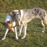 2011-03-02_Sandy17M&Blue11M