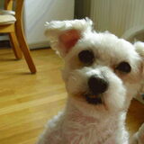 onze lieve Bobbie