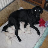 7 dagen oud!