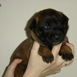 Foto van Janet & Boxers