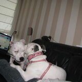 Foto van alex en lady