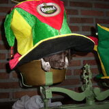 Foto van kelly,s black favoriete