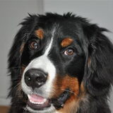 Foto van Pauline