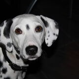 Wat ben ik toch ook lief:)