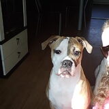 met lady kijk wat een mooi koppie ze ook heeft