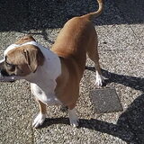 lady alweer 7 maanden