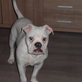 Ik wordt al heel groot