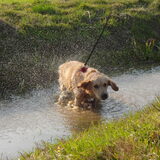 WATER (L)