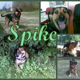 Foto van Claudia & Tank