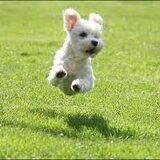 And Jump!