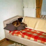 Oh Oh, op de bank, niet in de mand.