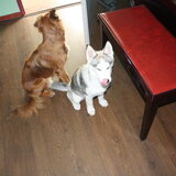Foto van Suze en de 3