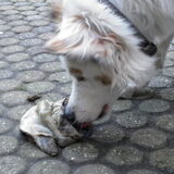 eten