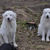 Foto van Mirjam en Curly Koda
