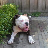 onze Kyra