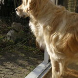 Foto van Marjolijn van Gaasbeek