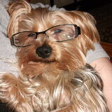 Max met mijn bril op. ;)
