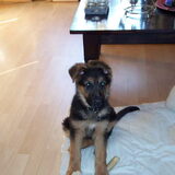 wat zit ze lief!