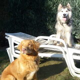 Foto van Laura & Figo
