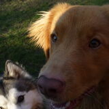 Foto van Laura & Figo