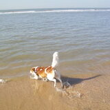 wandelen aan zee