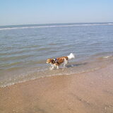 wandelen aan zee