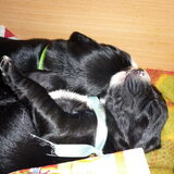 Foto van debby