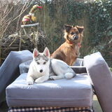 Foto van Suze en de 3