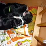 Foto van debby