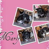 Marly