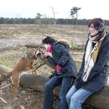 Ik en mijn zusje zijn op pad met Fizzy in de loonse en drunese duinen…