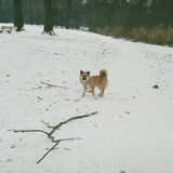 eerste kennismaking met de sneeuw, 7 maanden oud