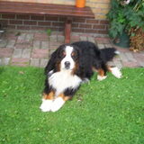 Nou, even wat rust heb ik wel verdiend ...
