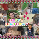 1jaar Juno, collage gemaakt door Hanne en Billy