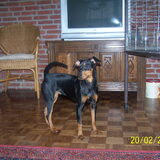 Anna